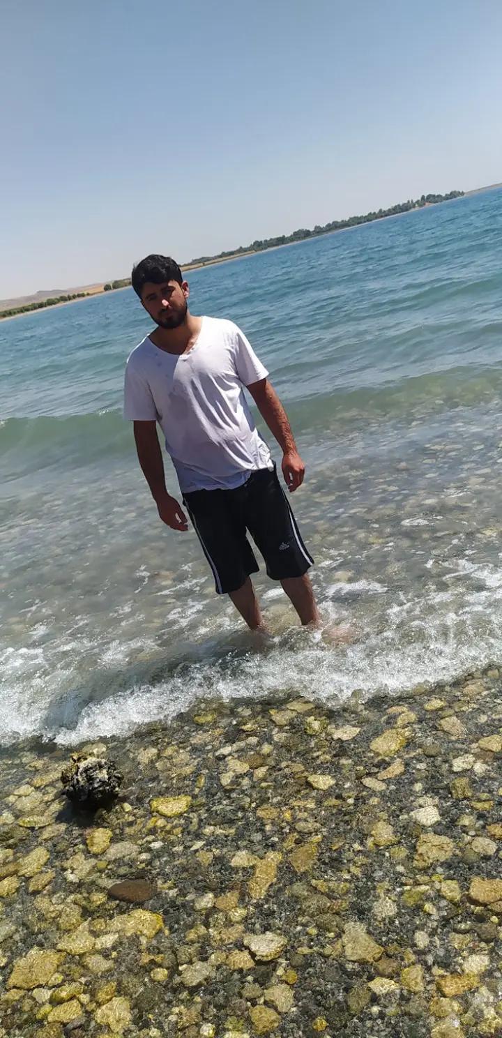 @bayro56204