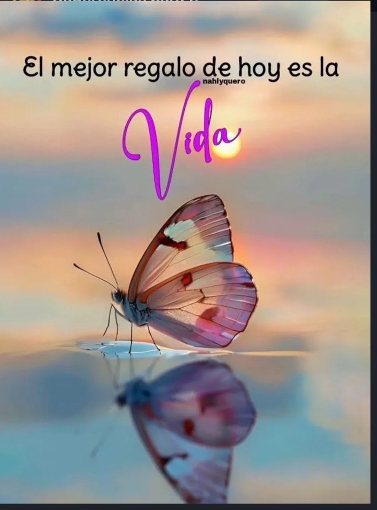 @Ma. Lupita