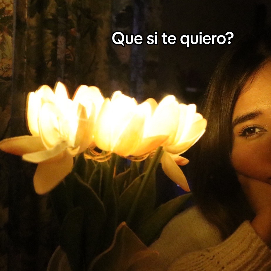 @Vayito 🌷