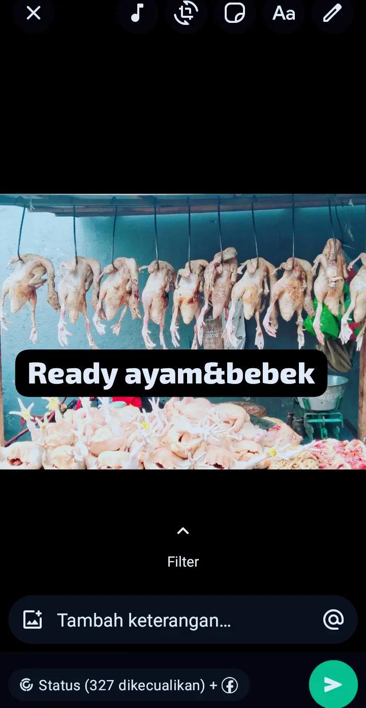 @subandi