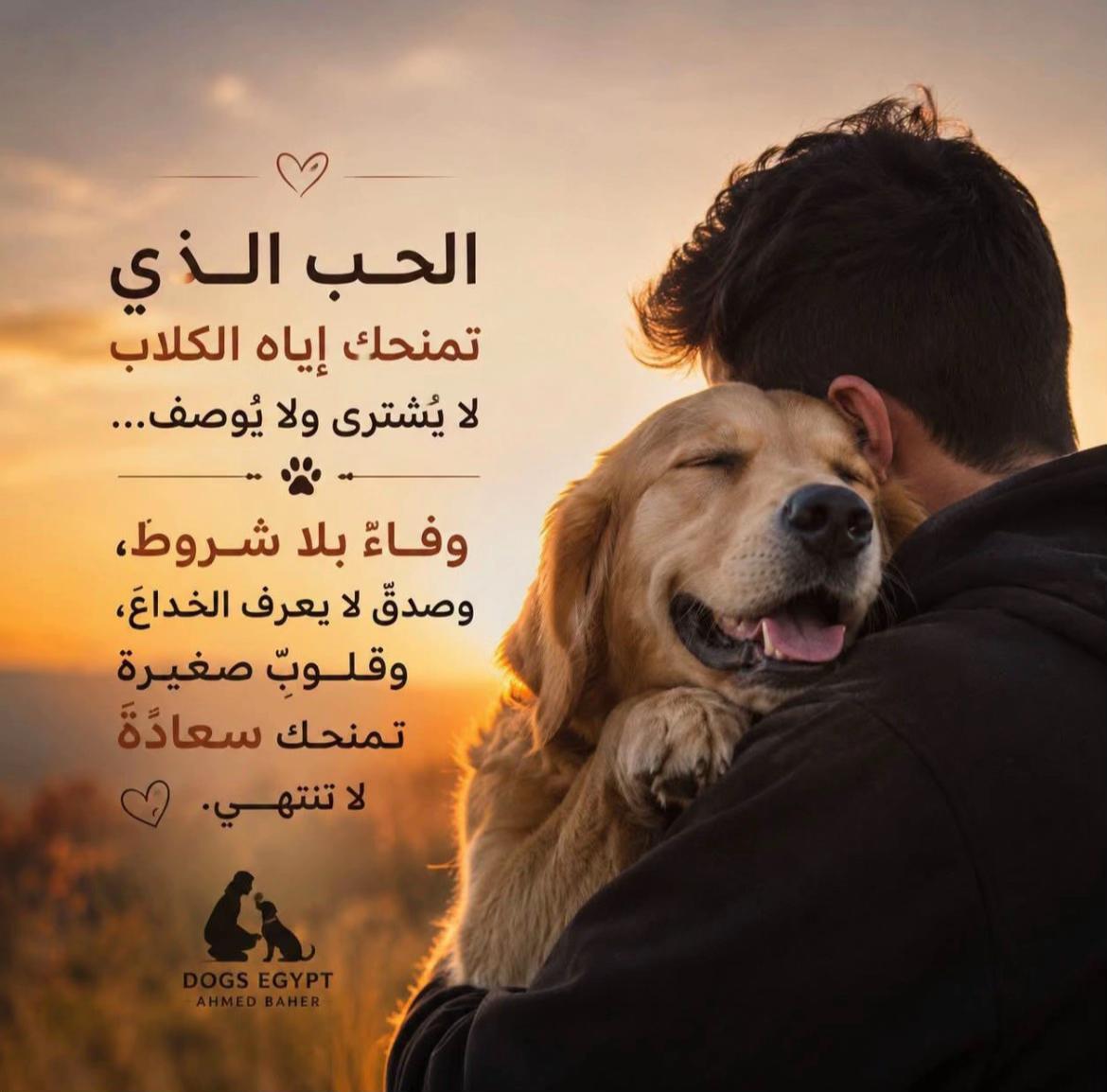 @ملاك | Malaak