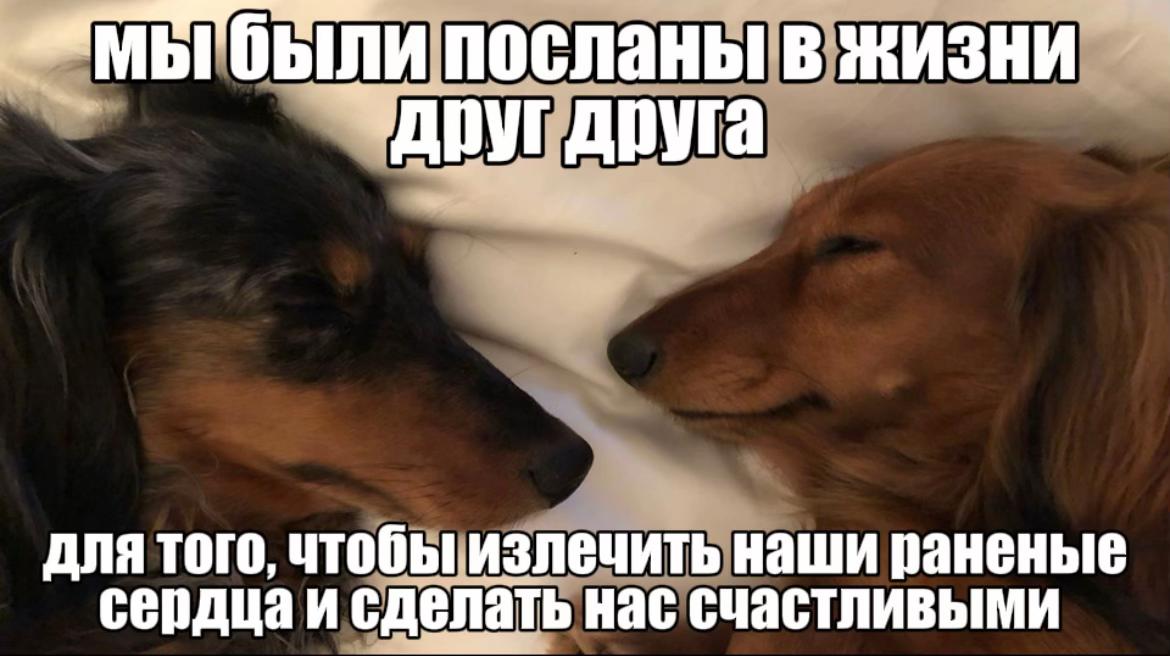 @♡