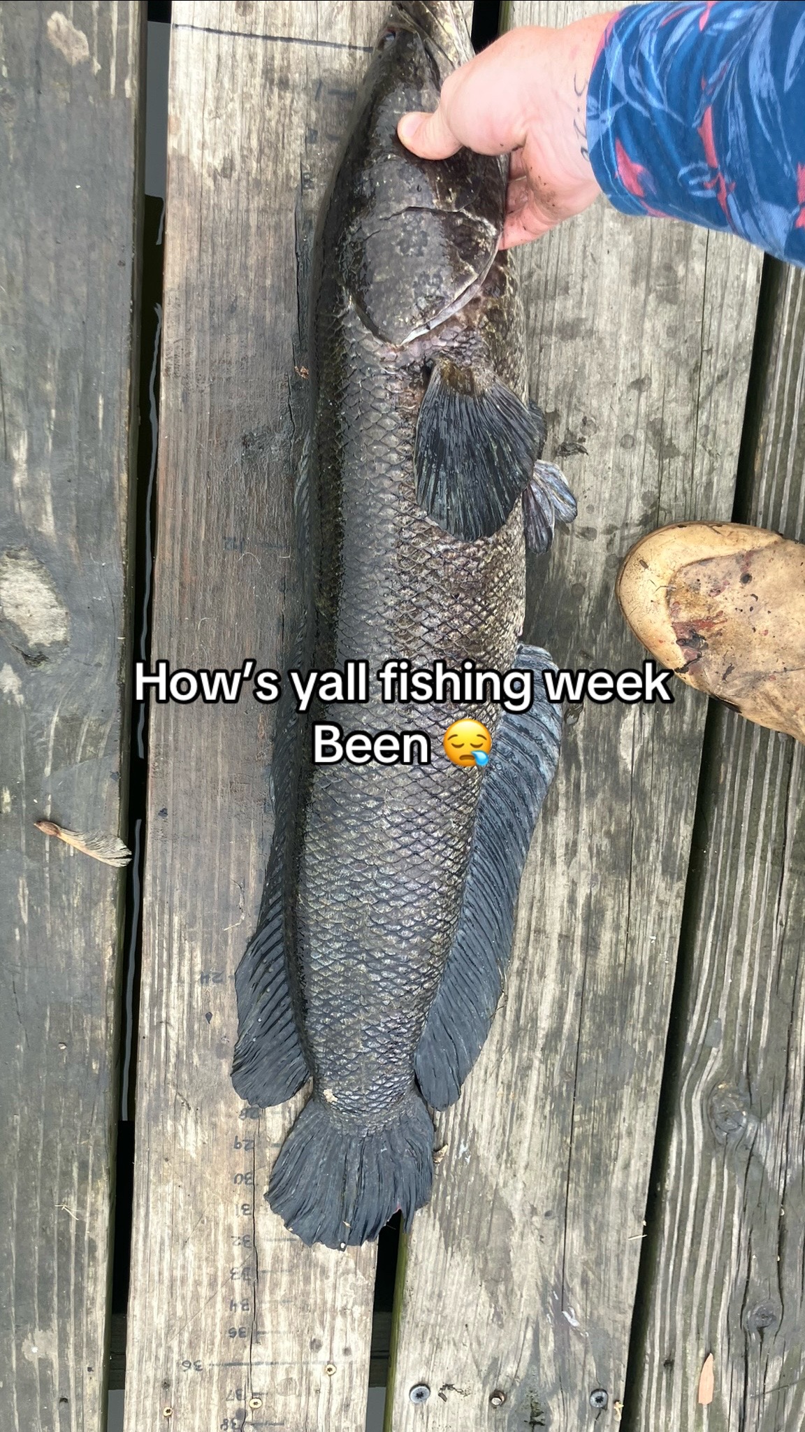 @baltimorebanditfishing