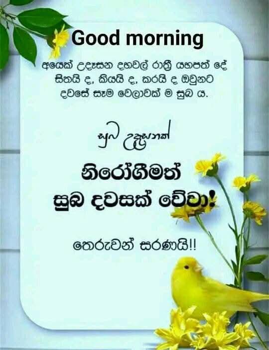 @prasanna