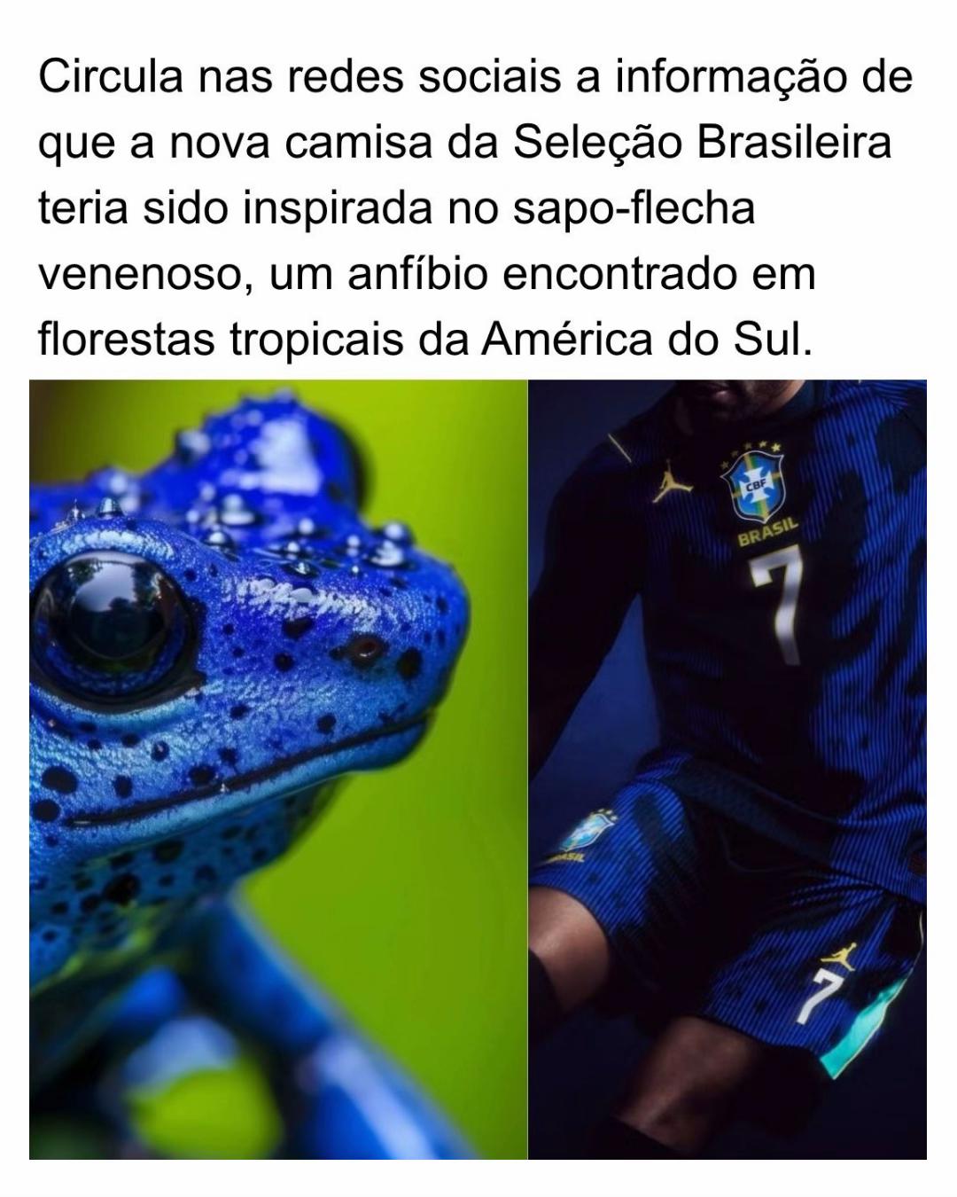 @Alfinetei