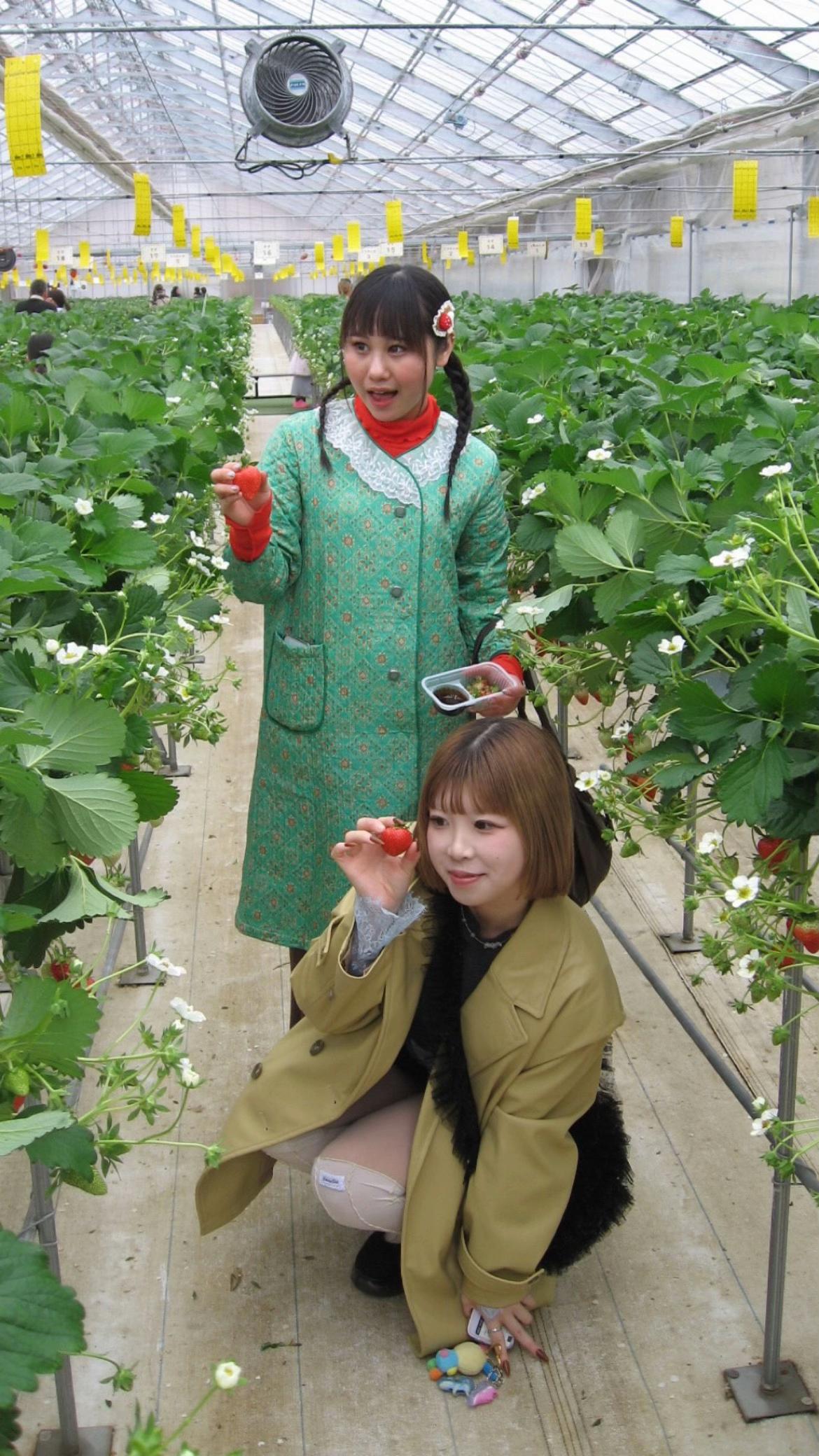 @ひより
