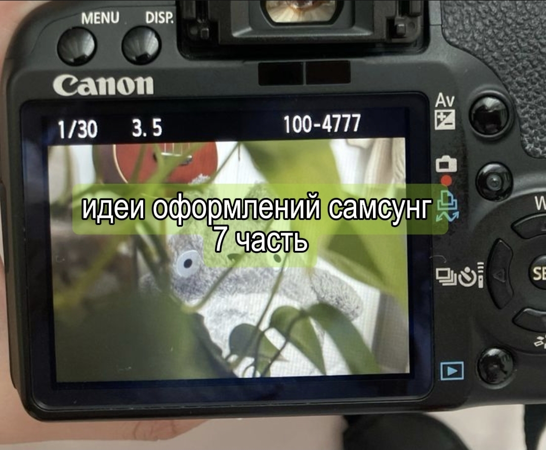 @🌻тгк: zi9ota | s.galaxy