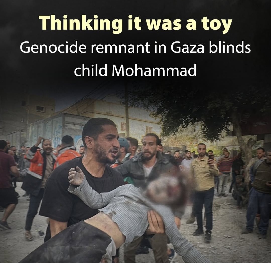 @Amina🇮🇪🇵🇸