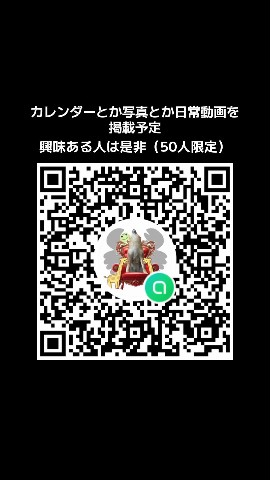 @特に柴犬が好きな人
