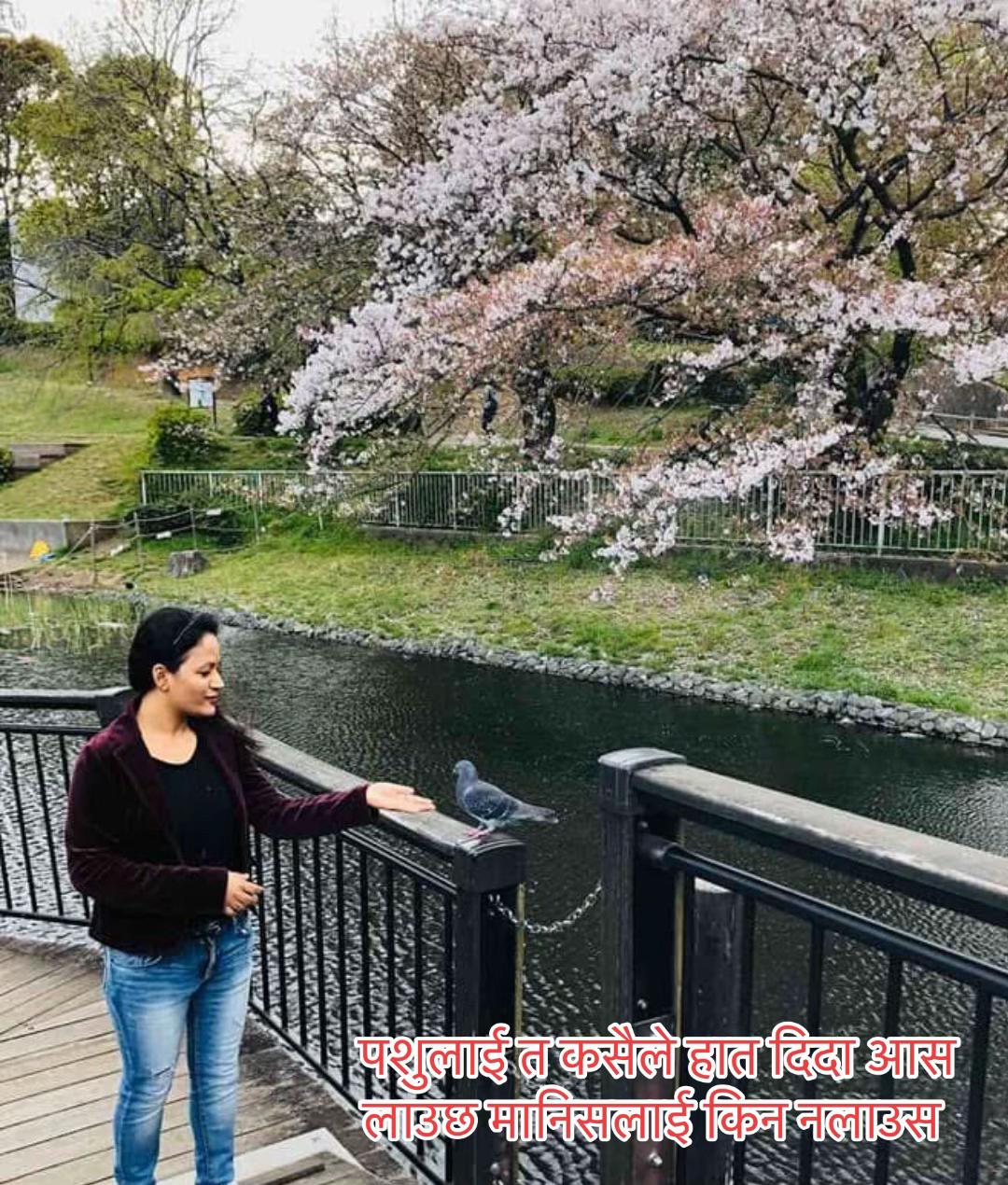 @sita.bhattarai