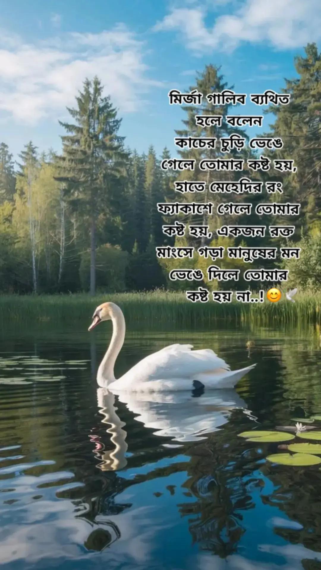 @Tamuuđ