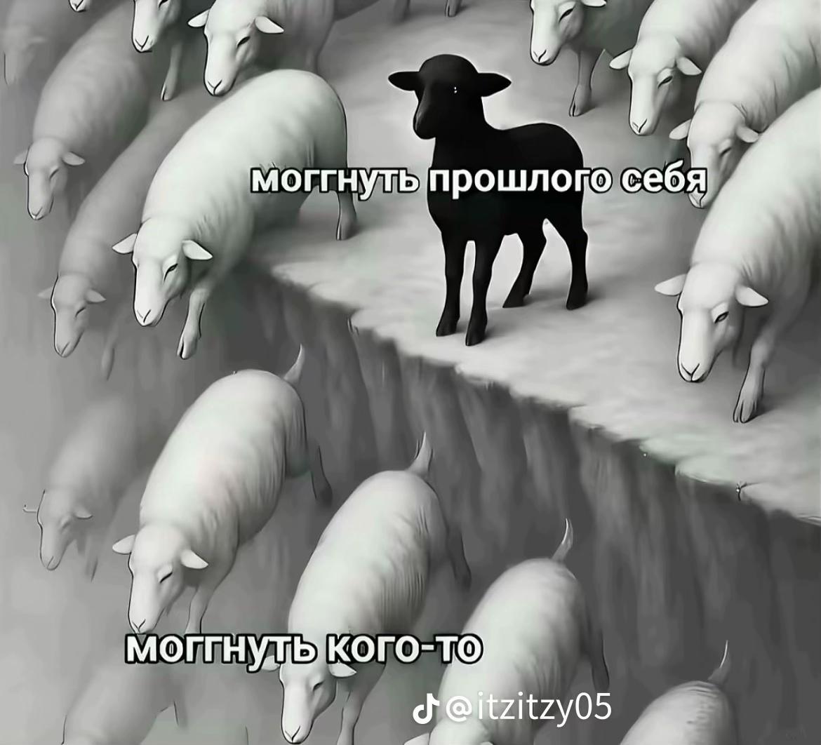 @mironovaa
