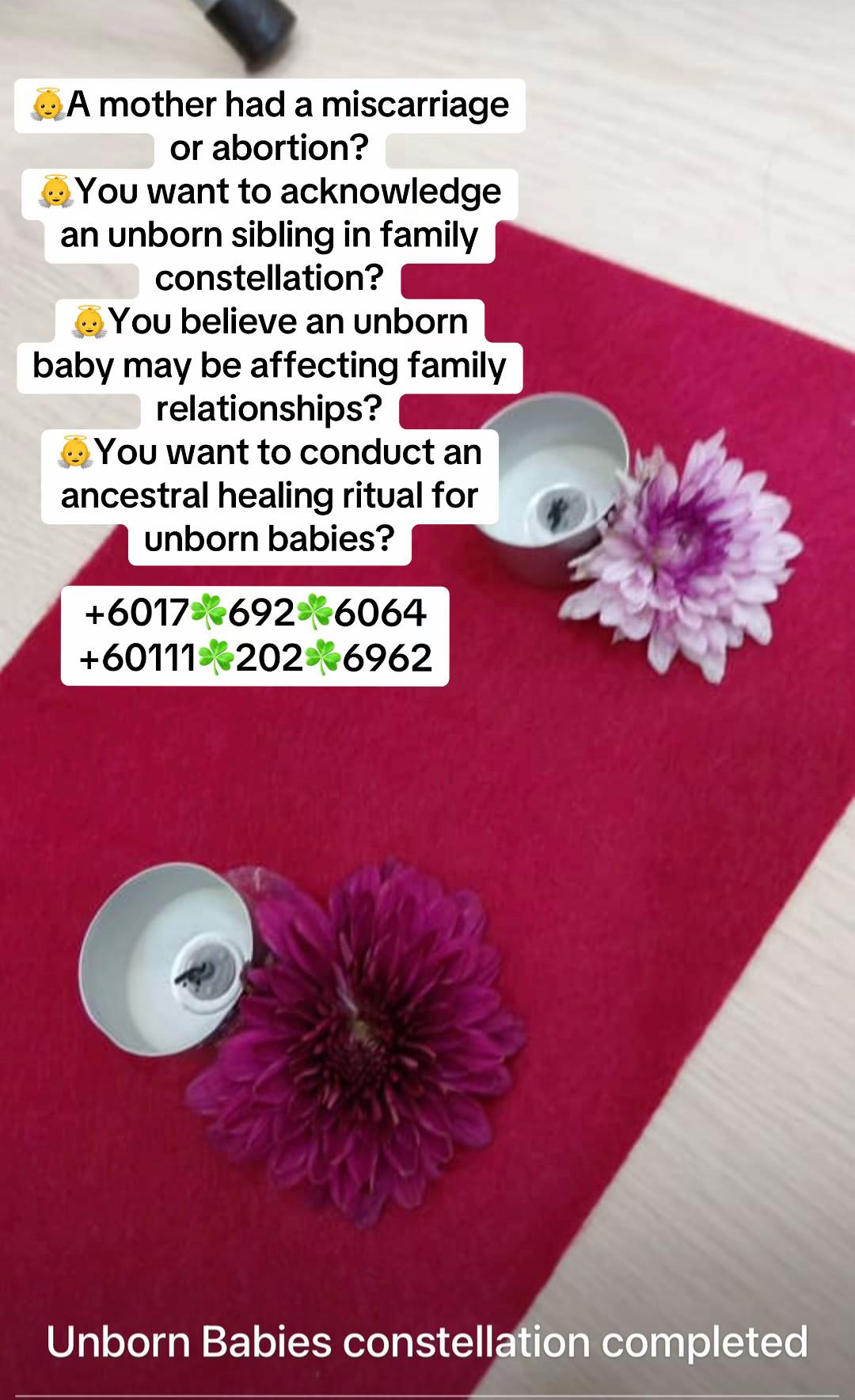 @WhitePigeon Holistic Services