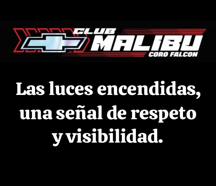 @ClubMalibuCoro-Falcon