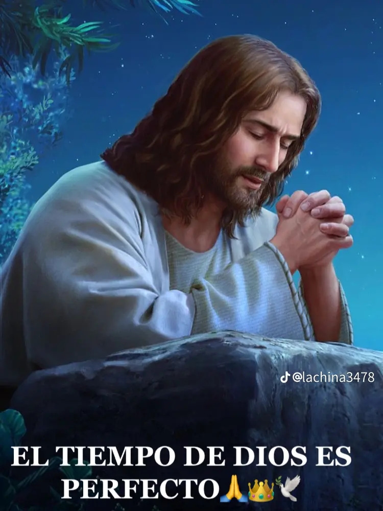 @👑🦢Ⓜ️PER&Eacute;Z 💯 🦢🦋🫡😇🫶