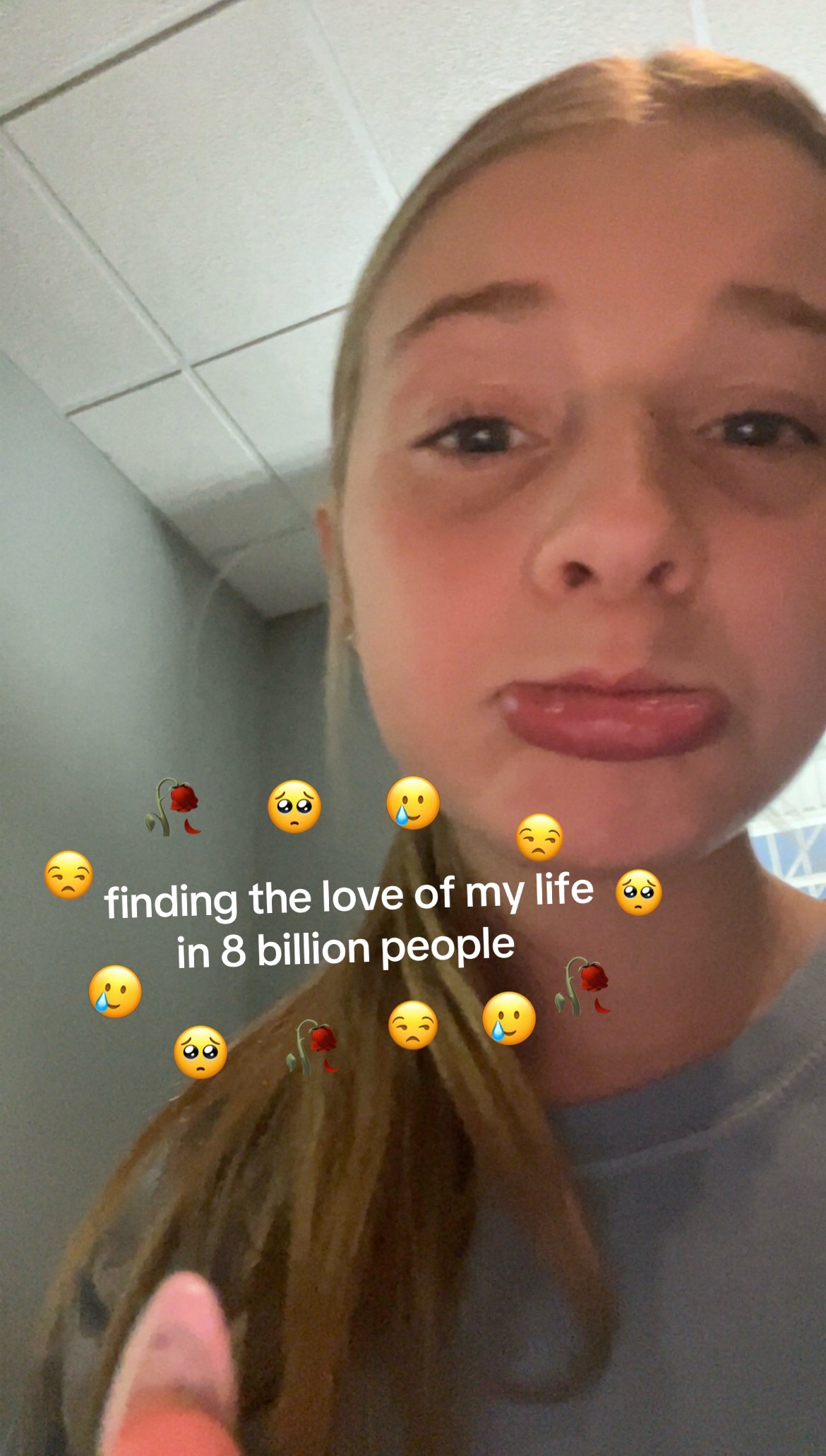 @🍵🫎🐿️🪽