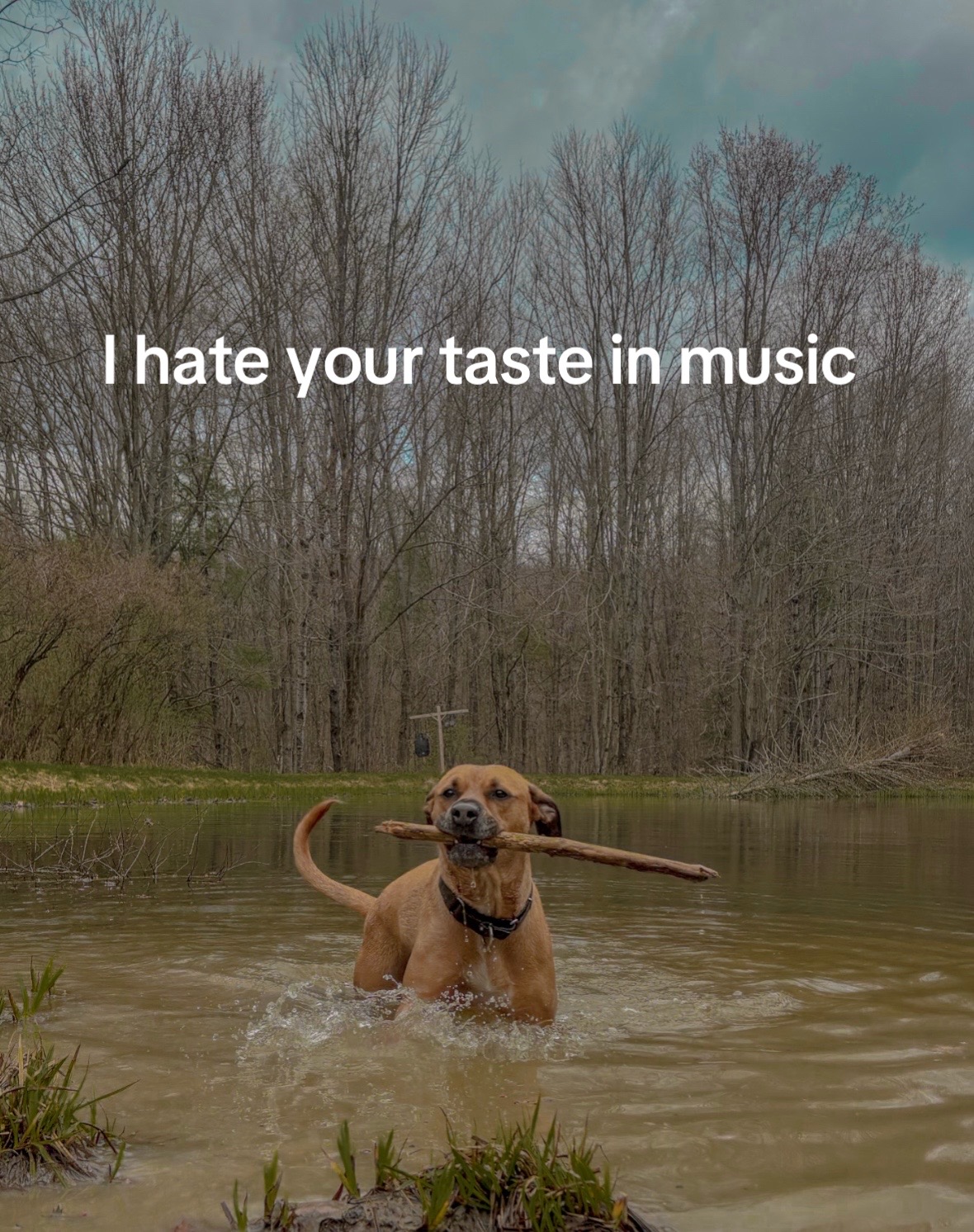 @Maddie