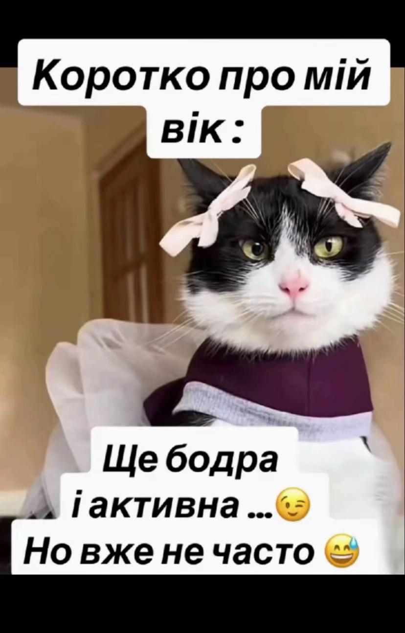 @Expert😎