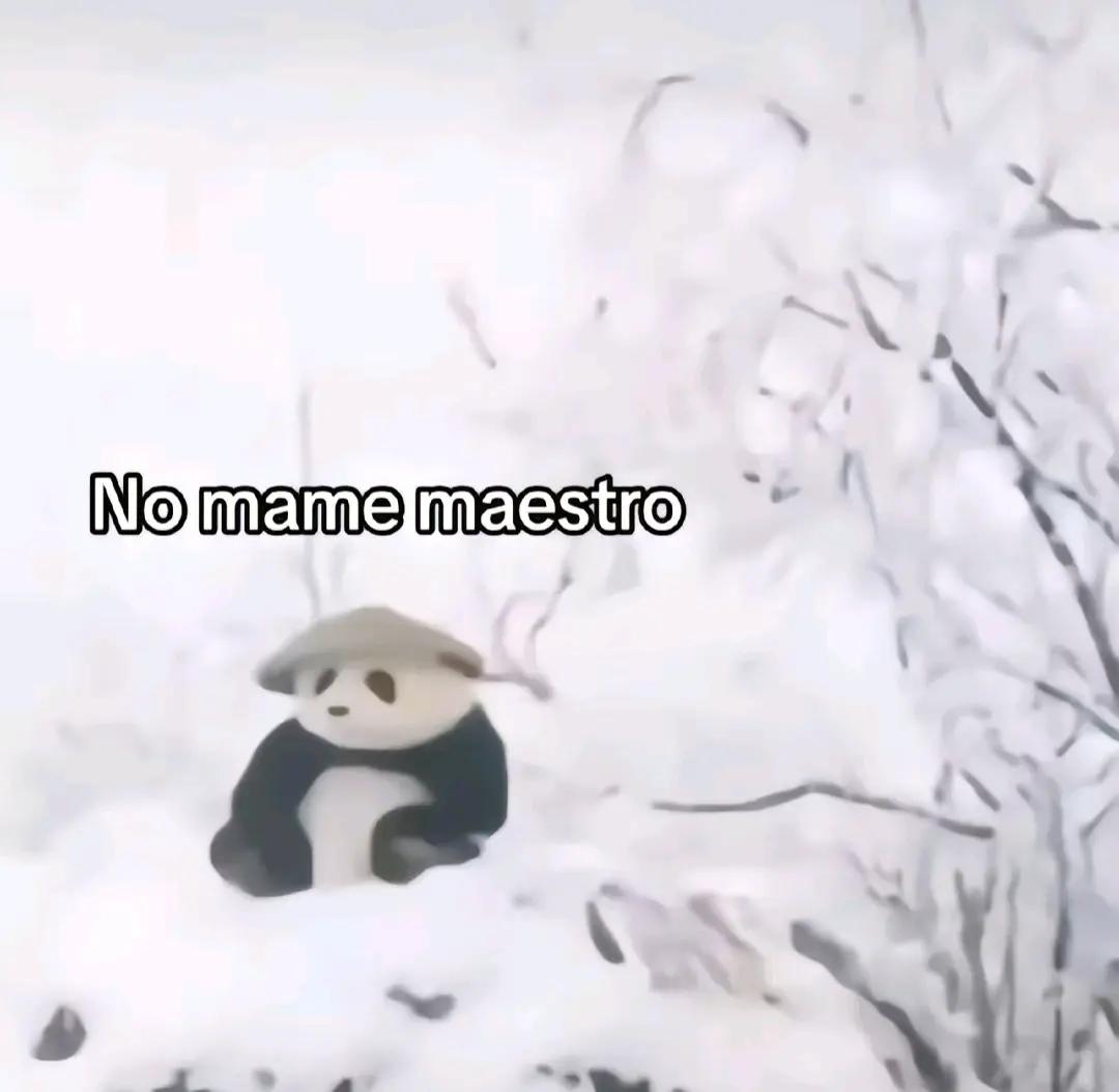 @Mario verde 🫠