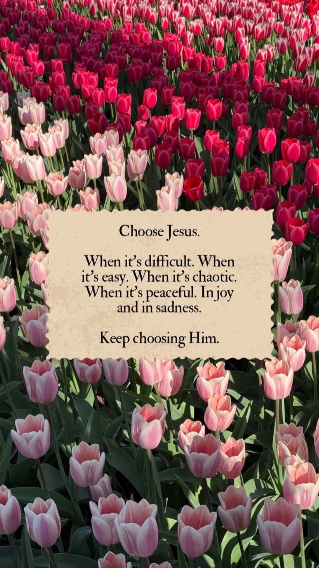 @🎹🎙️✝️Pastor Jenn🎙️✝️🎹