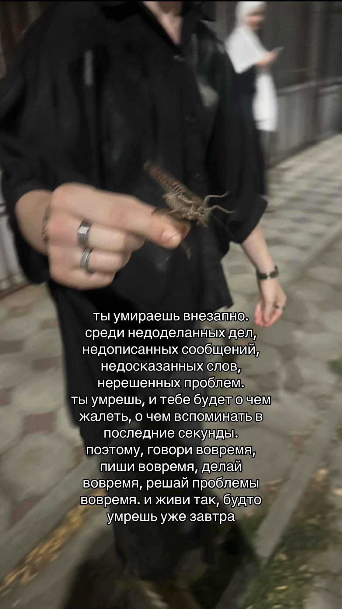 @elya🚩