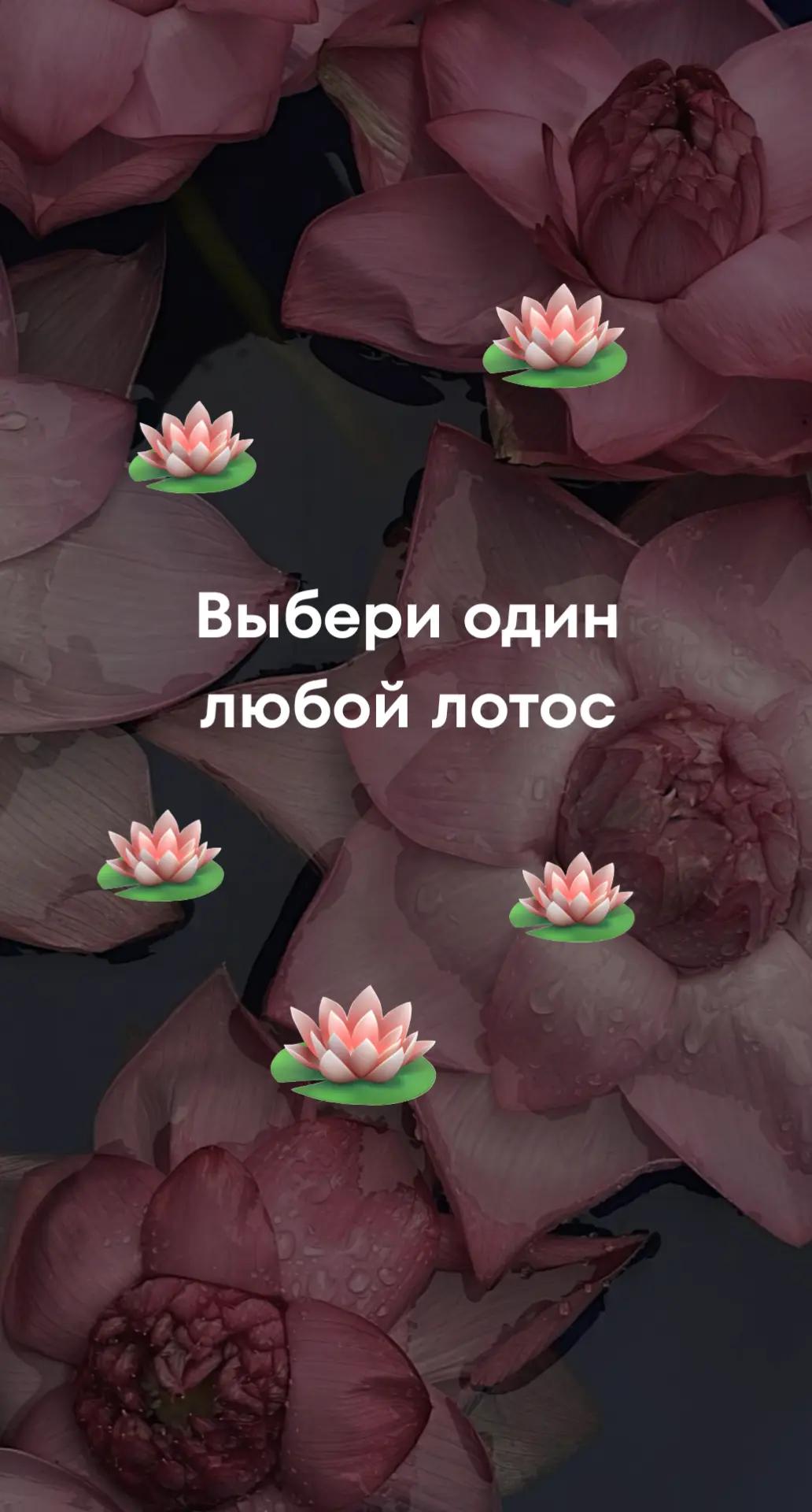 @Алиса.
