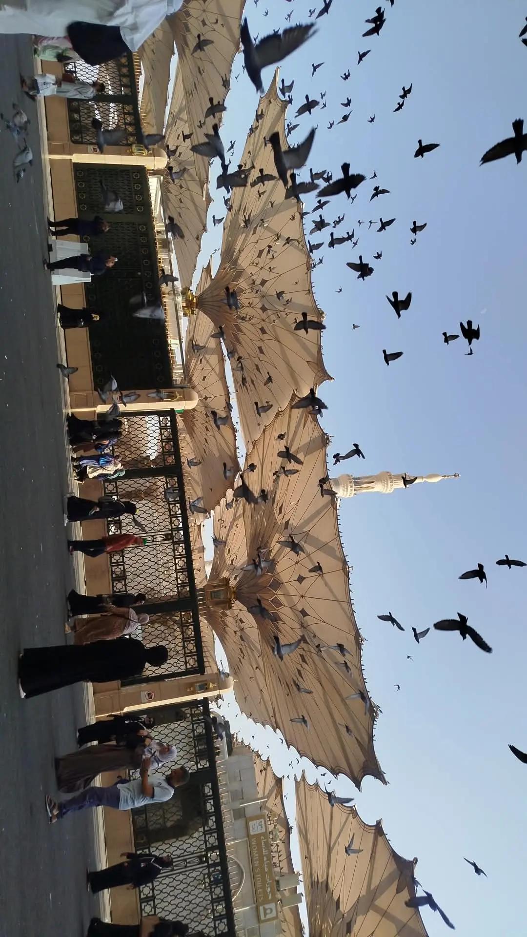 @🚩 ثناء