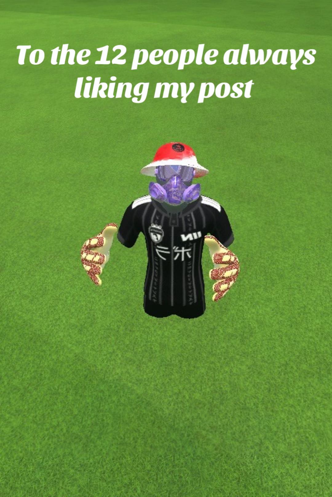 @pibblevrfs