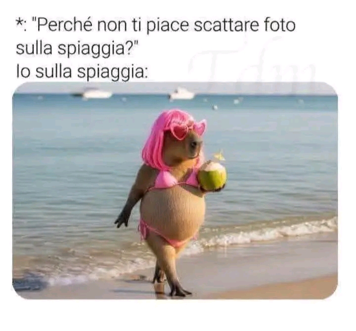 @graziasolinas8