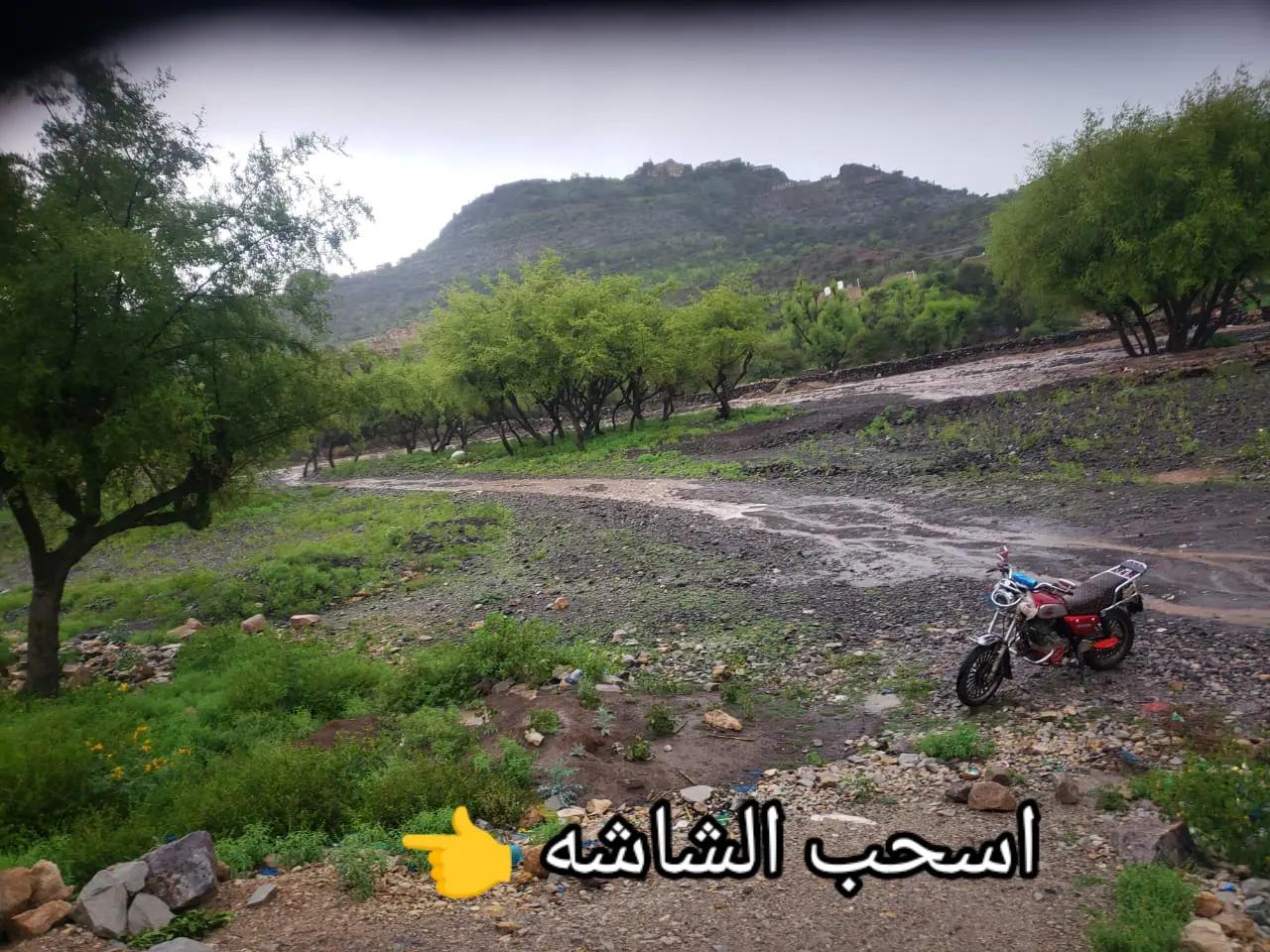@سعيد نظير العزعزي