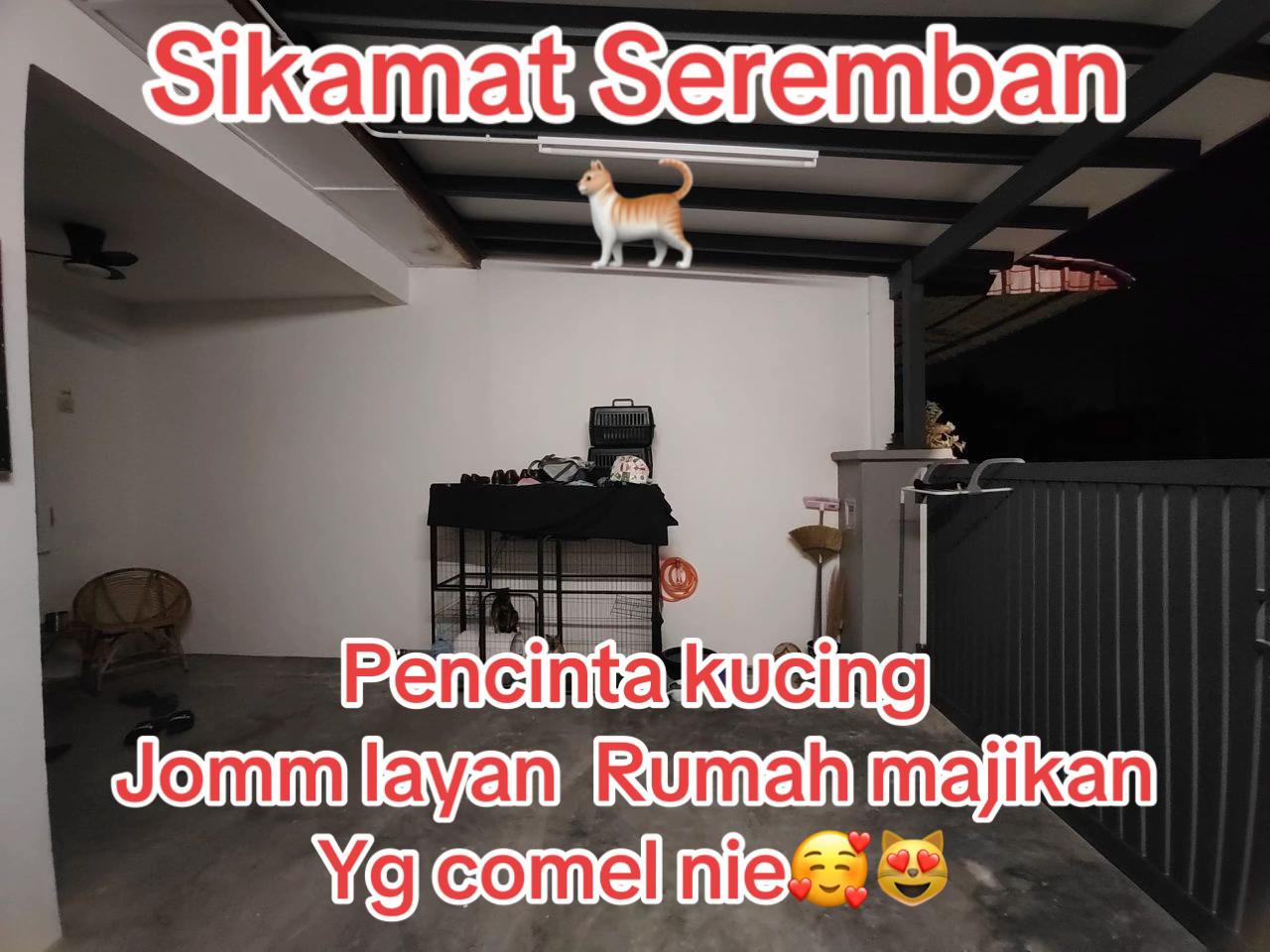 @Sangkar Anak Mak 🐱