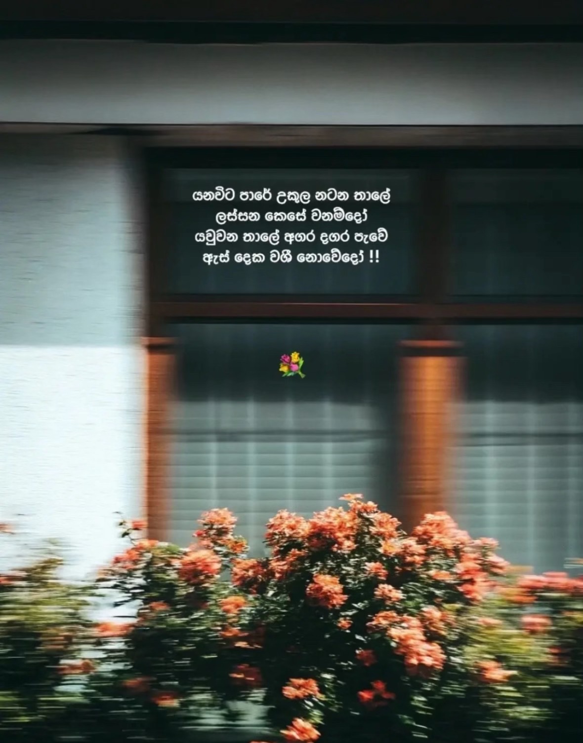 @cha_thu_🕊