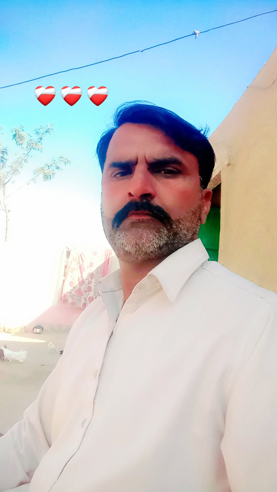 @Muhammad Bota855