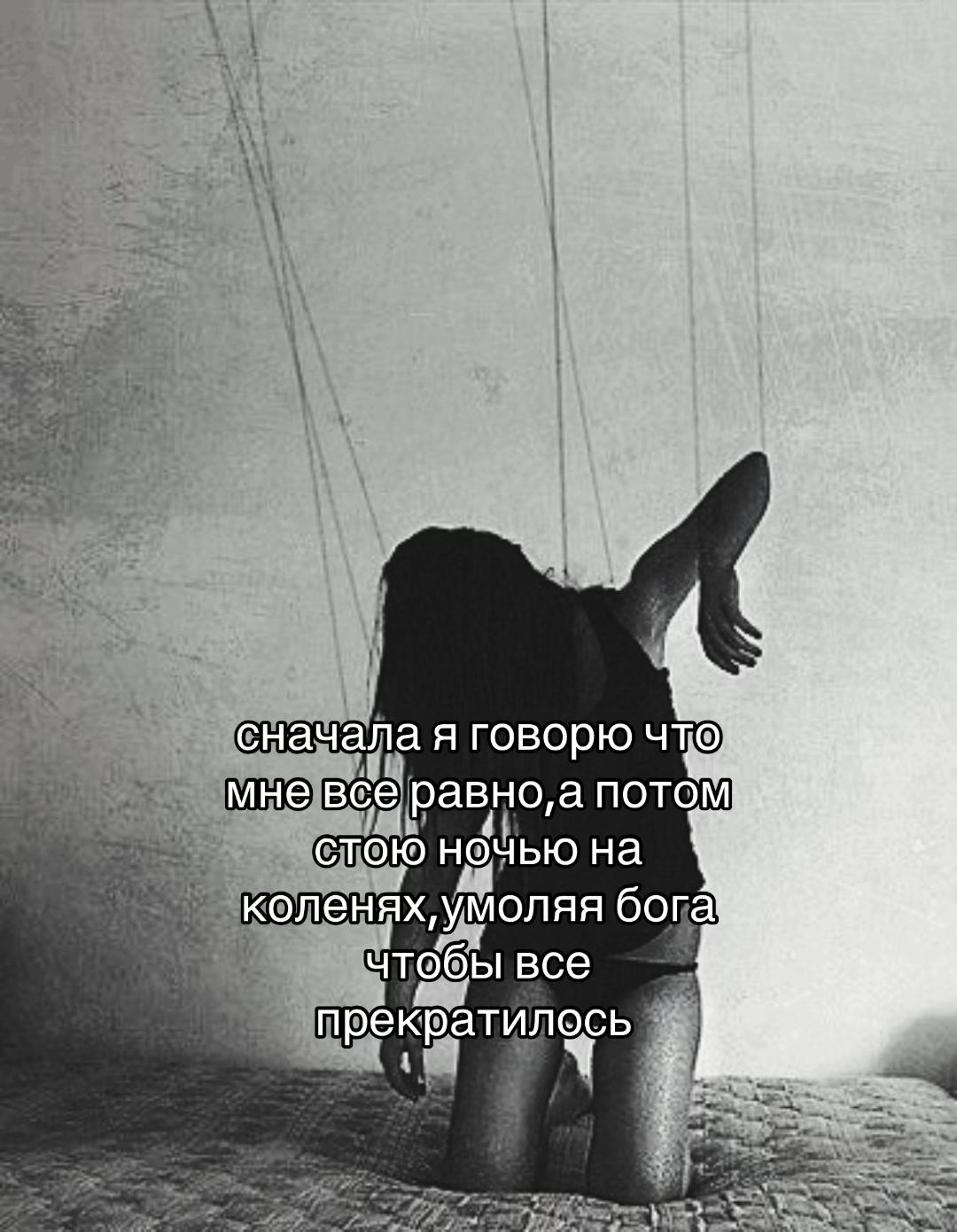 @мейби хмурая лапа