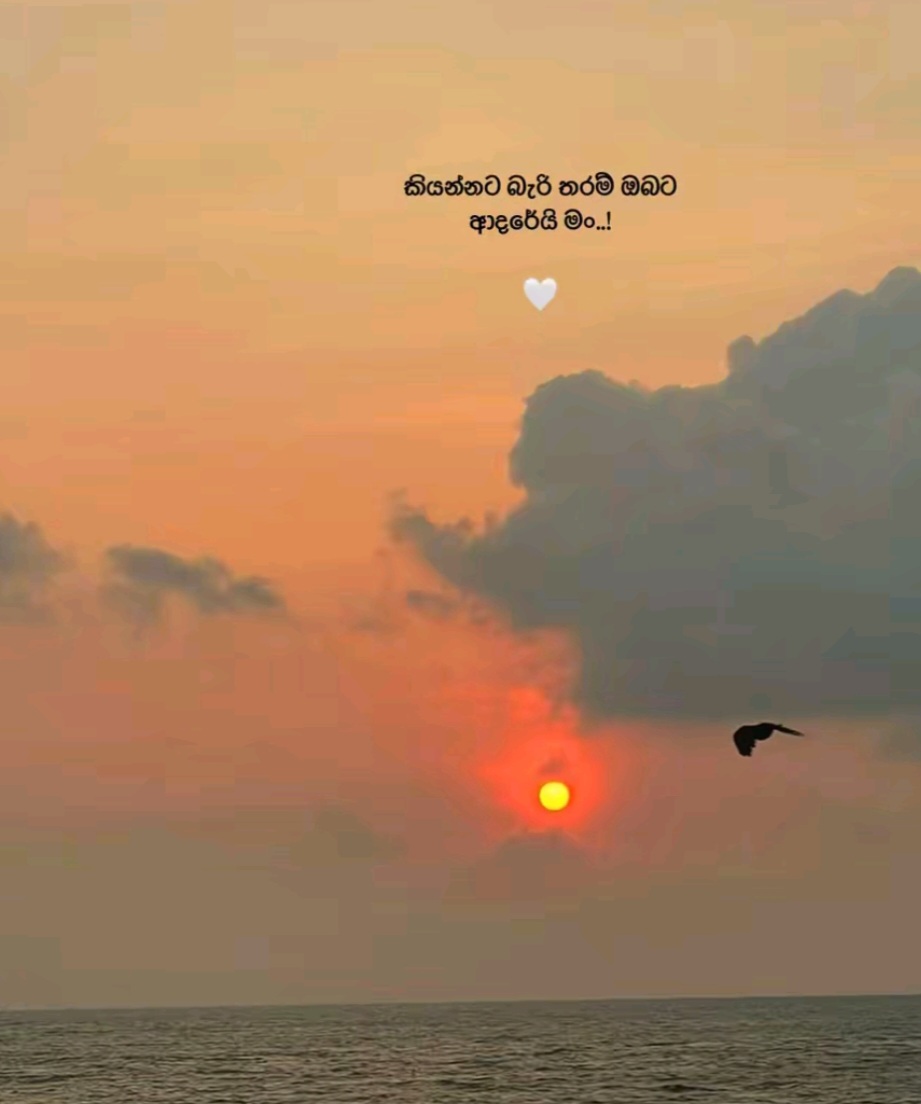@Senu Rajapaksha