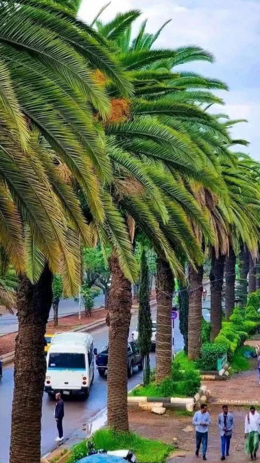@melkamu የማሪያም