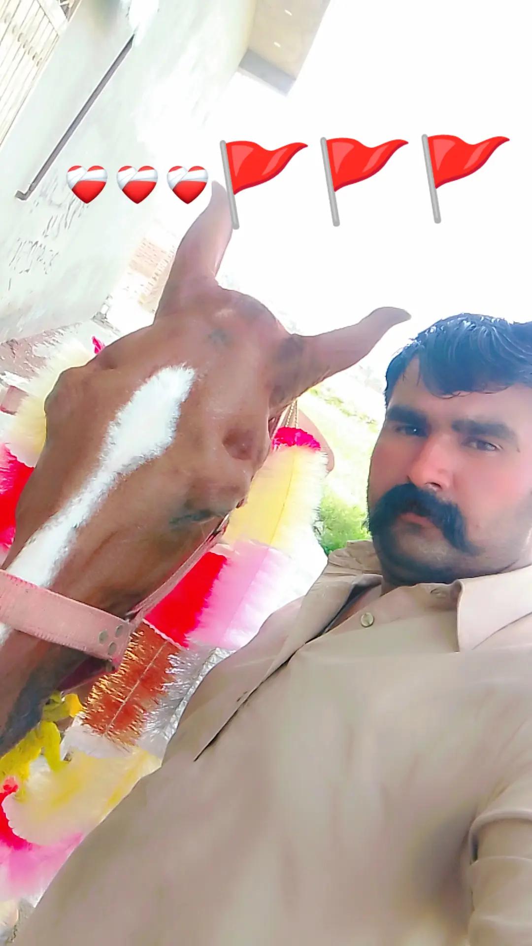 @Sajjad Ali 🐴🐴🐎