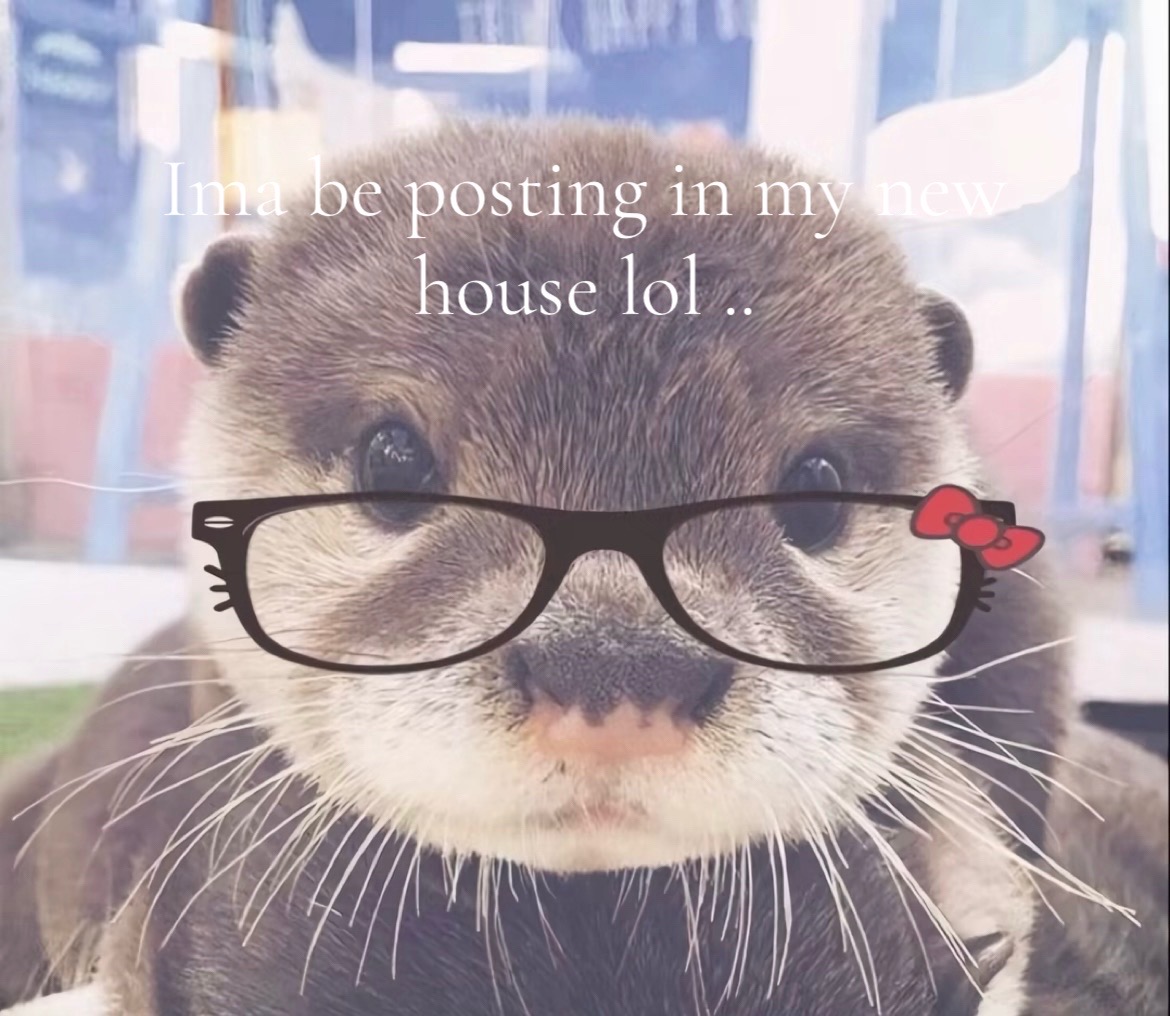@me and my other cats。