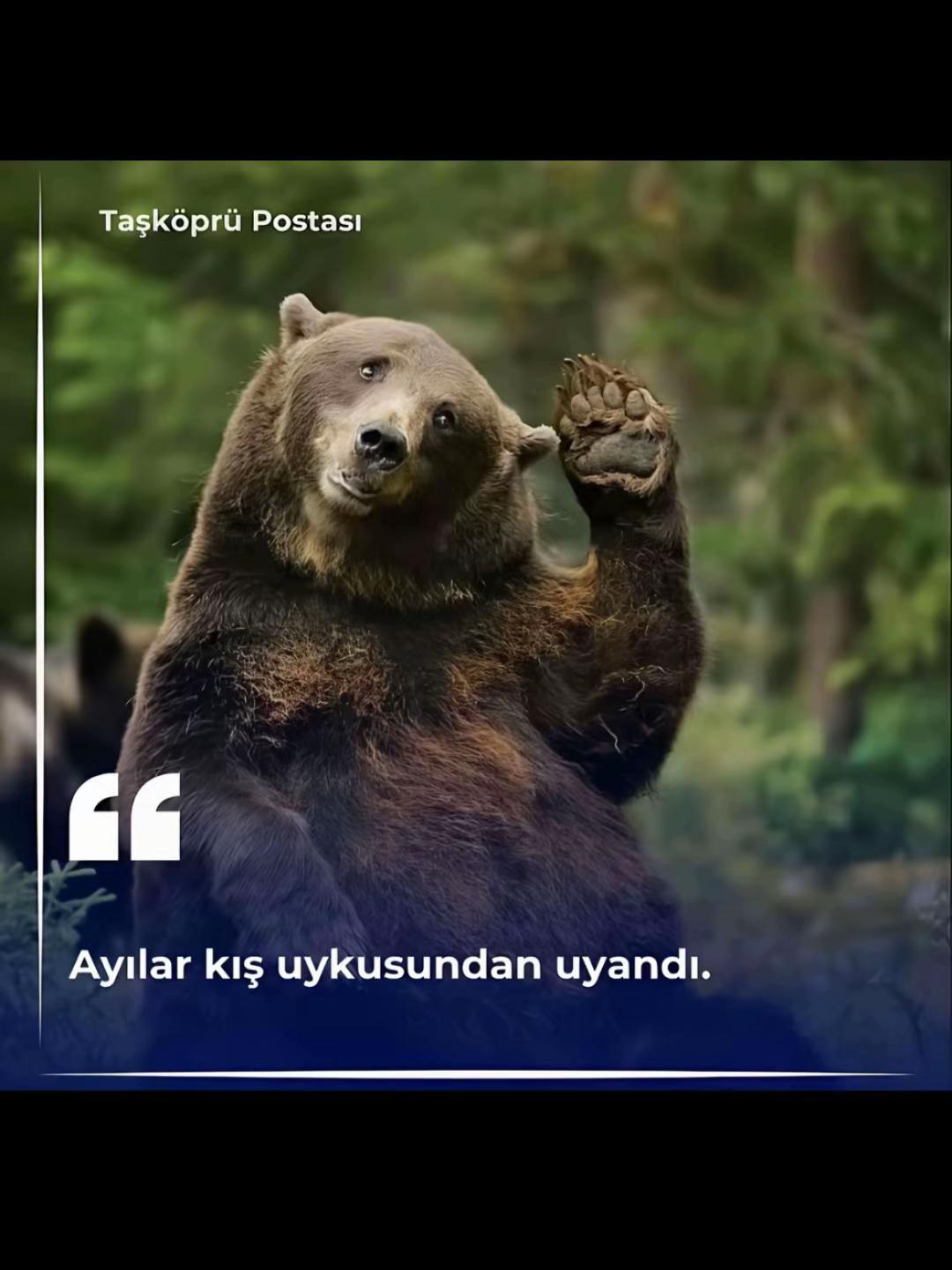 @MUTİ