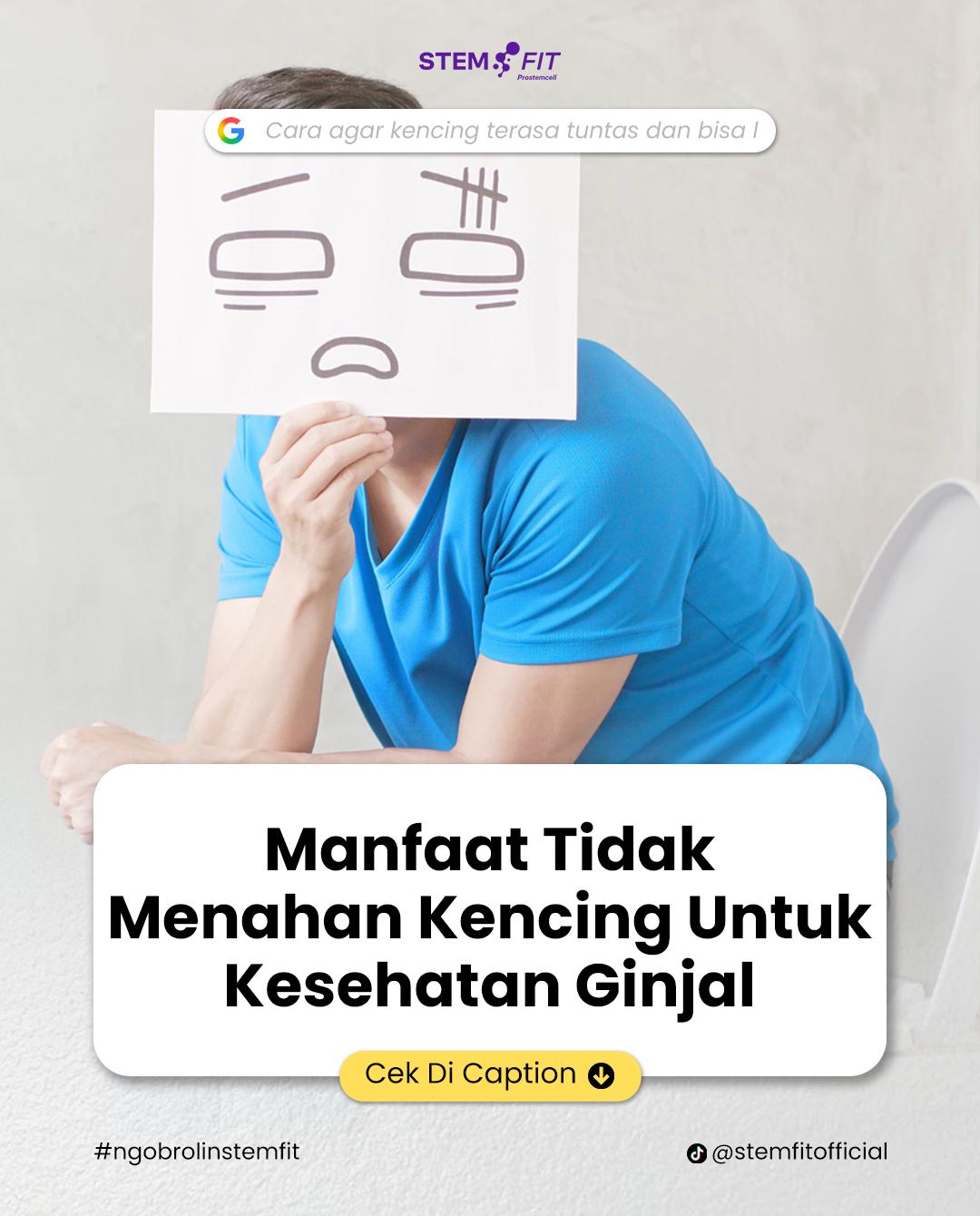 @Stemfit Official