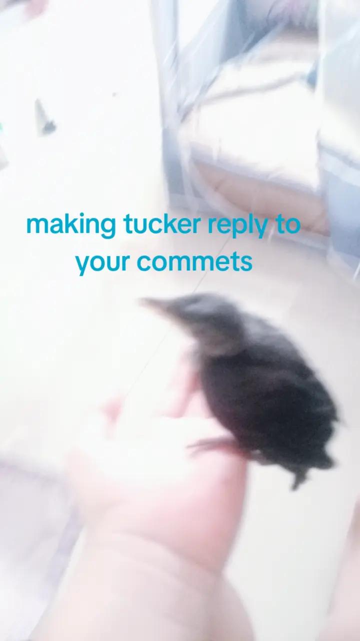 @smiley face
