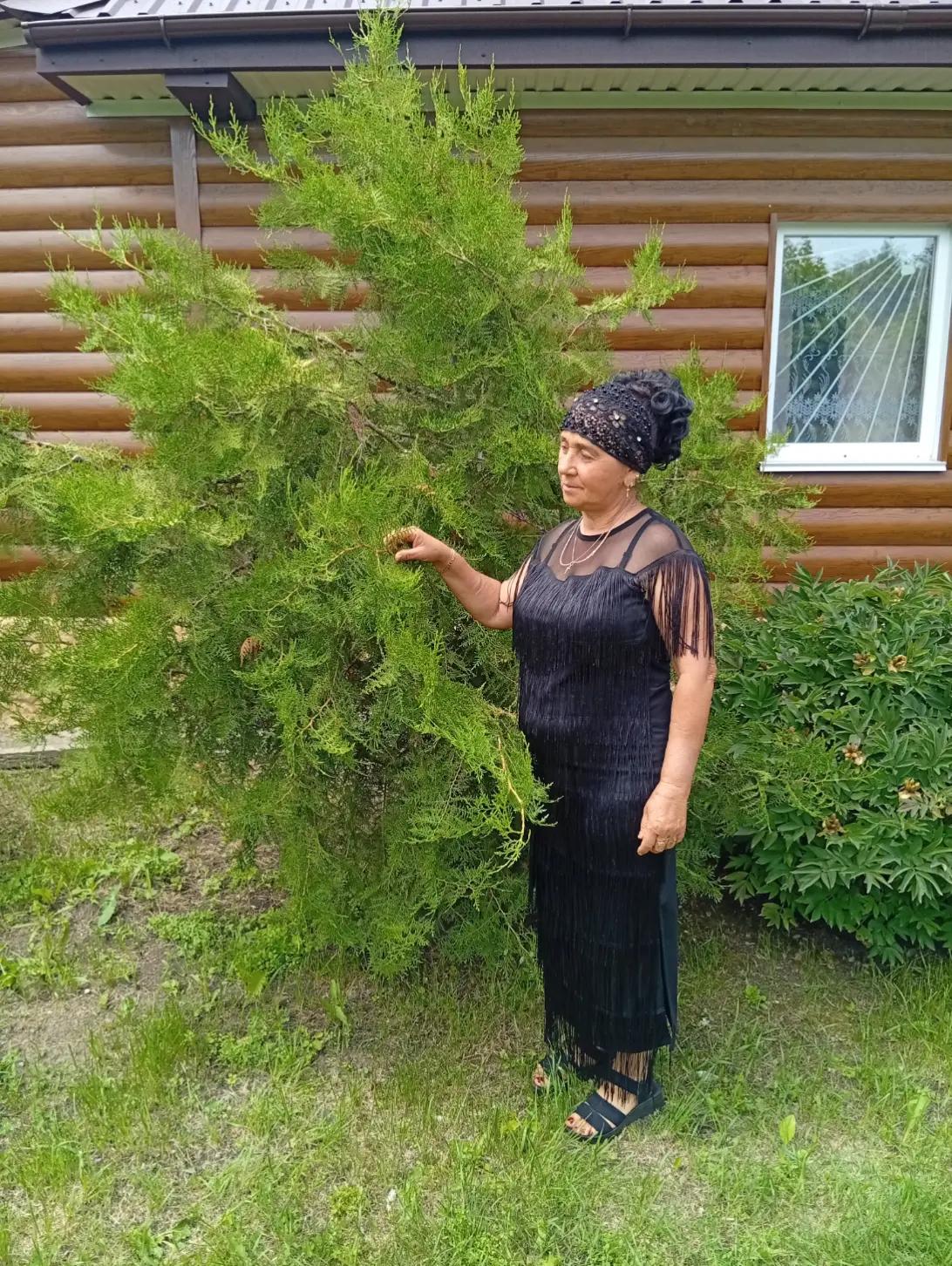 @Ніагара