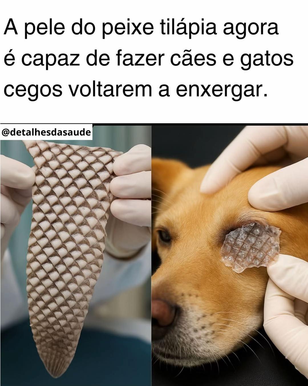 @Detalhes Da Saúde