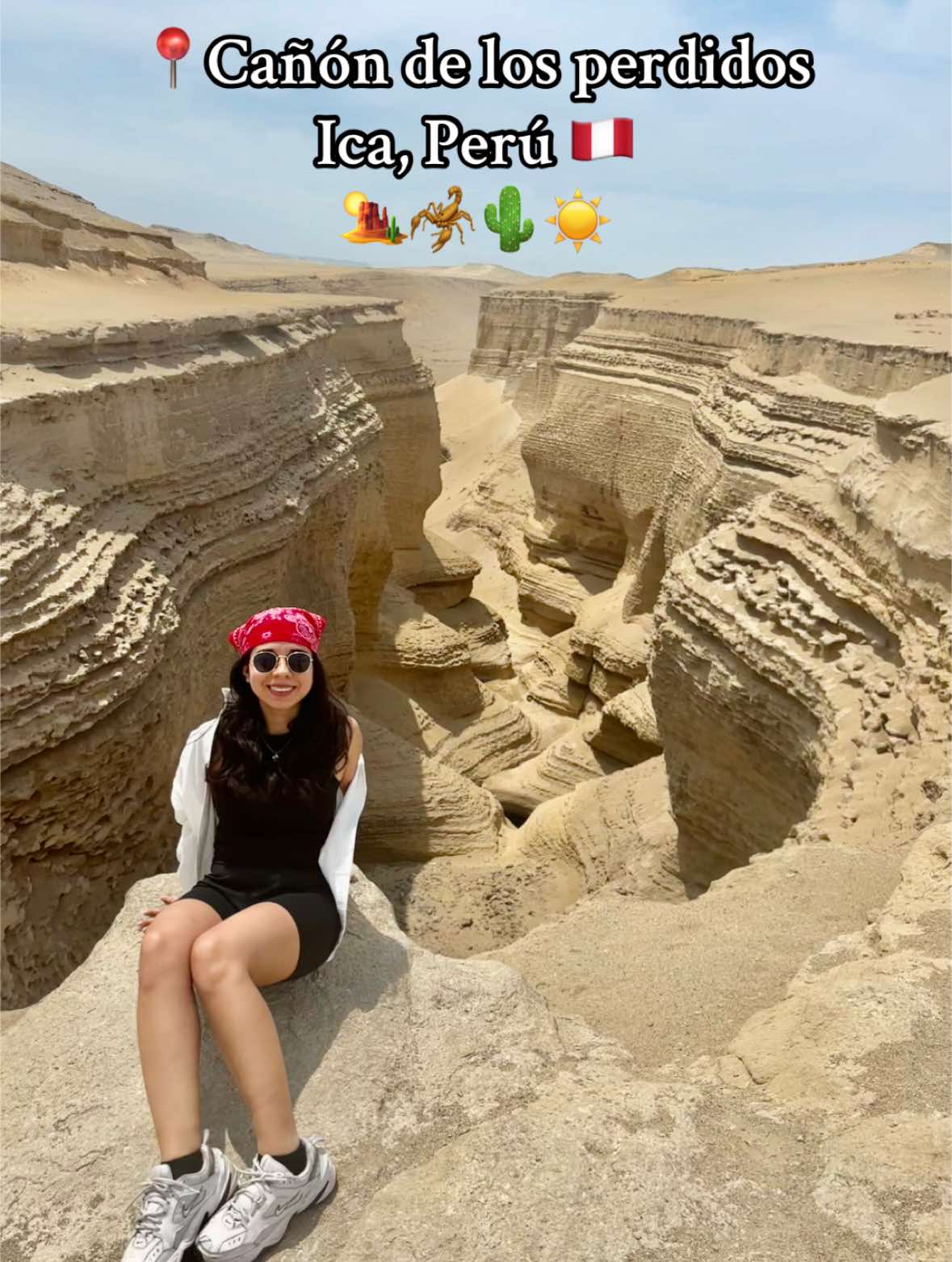 @Arianna🦔