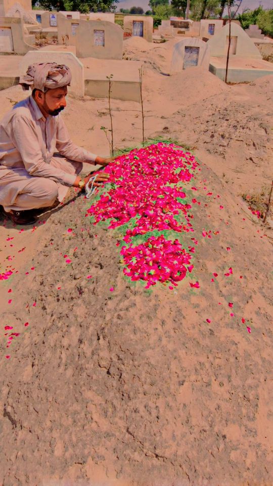 @M F AWAN 577 pinda waly