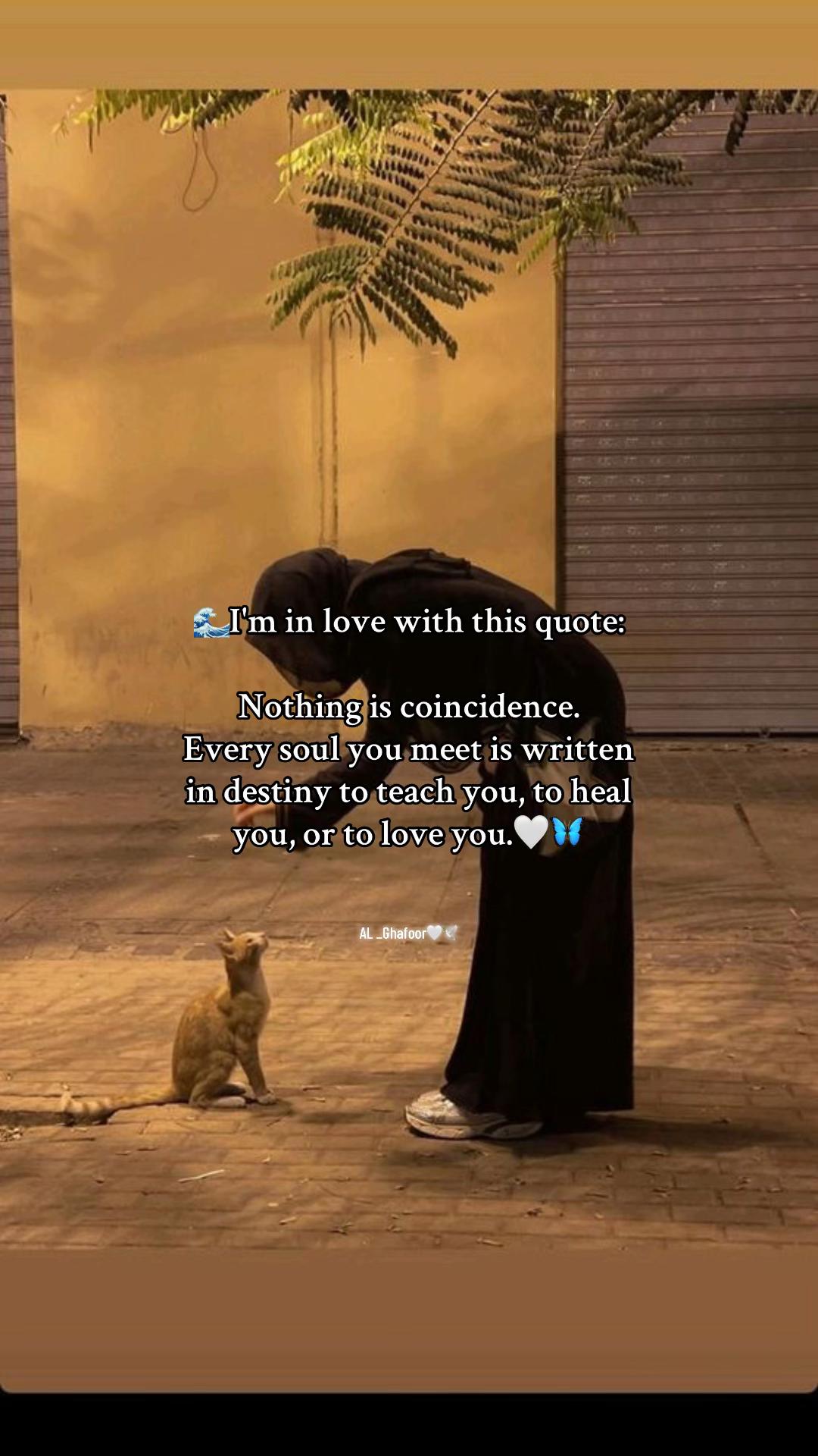 @AL _Ghafoor🤍🕊️