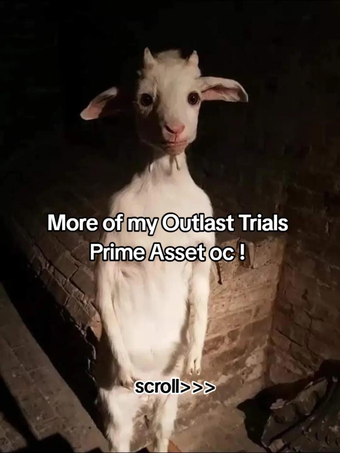 @Elkius
