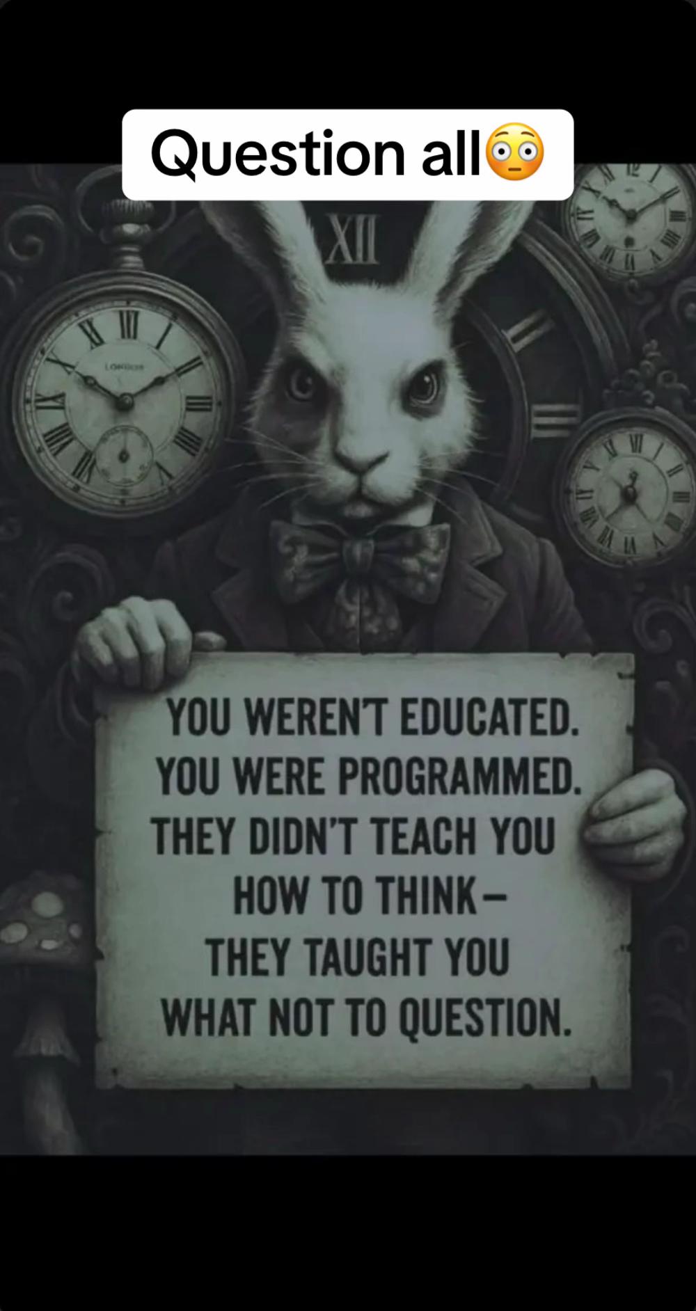@MidnightDoseOfInternet
