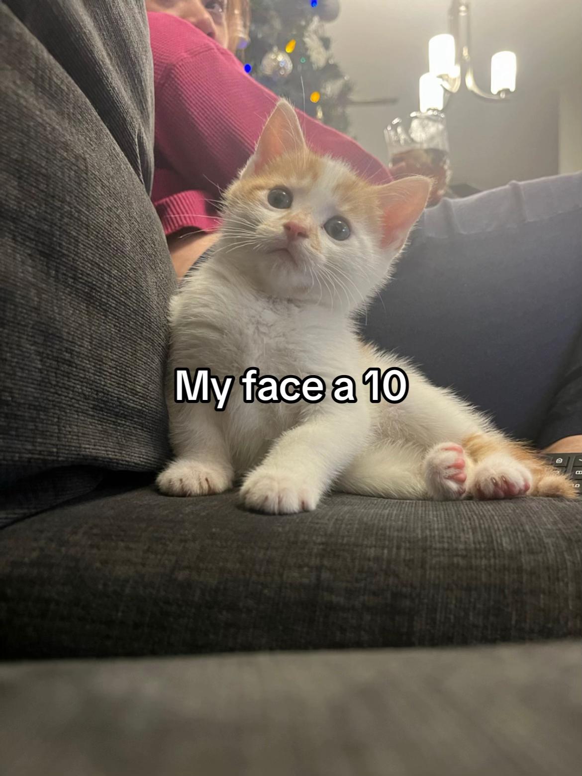 @a