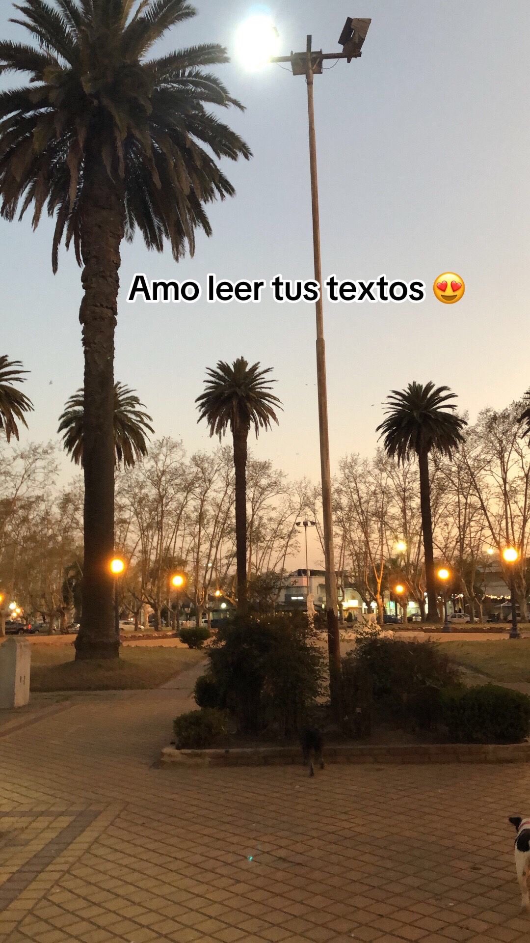 @Marti Colasanti